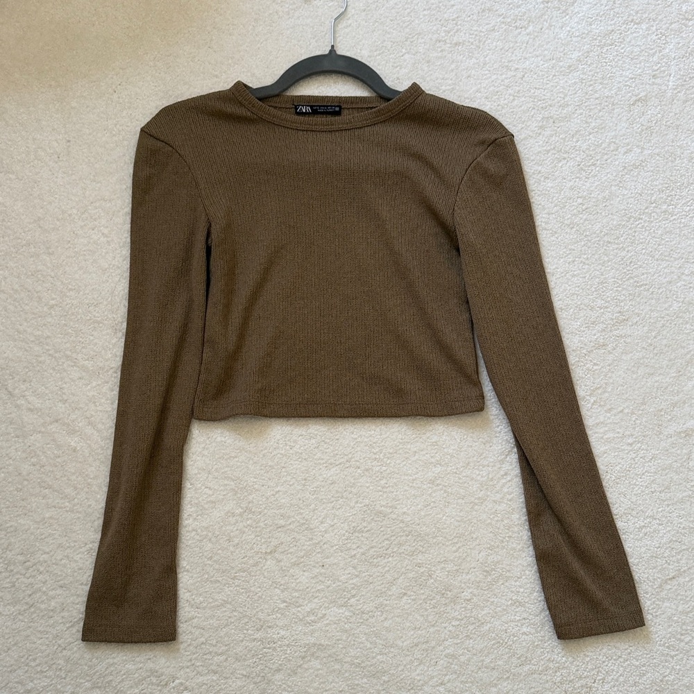 Zara Brown Long Sleeve Crop Top
